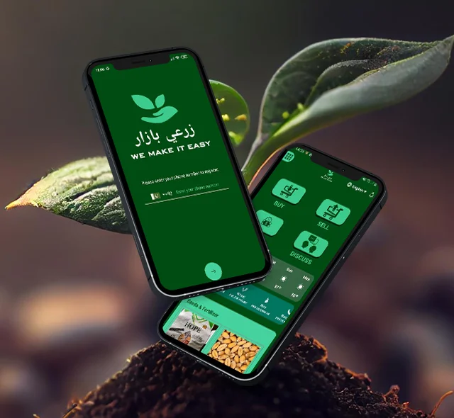 Zaraibazaar | BrandCrock